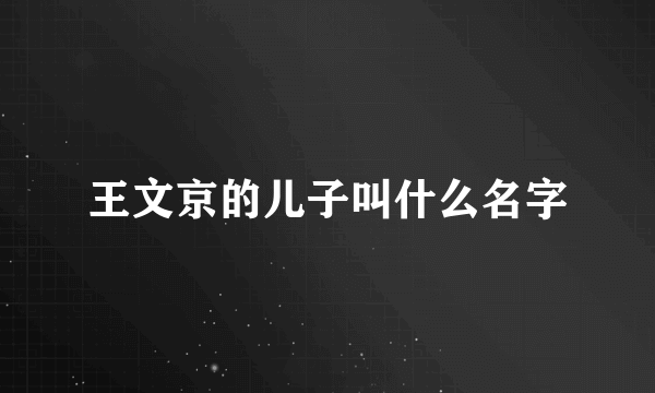 王文京的儿子叫什么名字