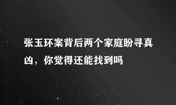 张玉环案背后两个家庭盼寻真凶，你觉得还能找到吗