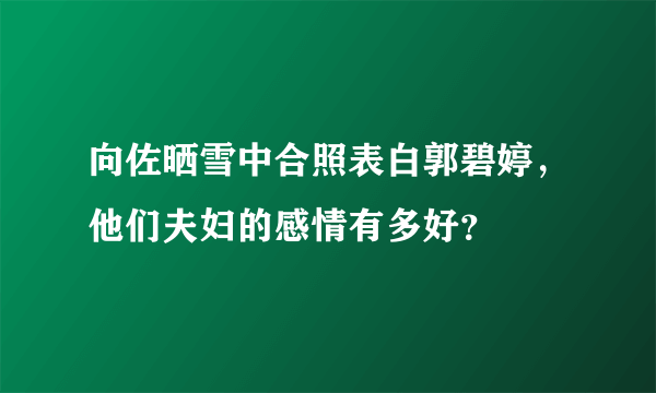 向佐晒雪中合照表白郭碧婷，他们夫妇的感情有多好？