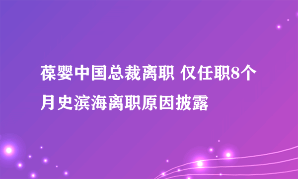 葆婴中国总裁离职 仅任职8个月史滨海离职原因披露