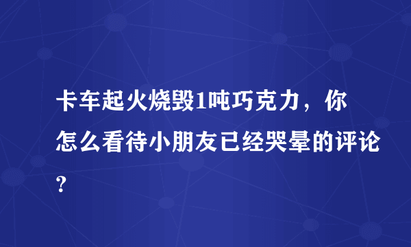 卡车起火烧毁1吨巧克力，你怎么看待小朋友已经哭晕的评论？