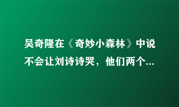 吴奇隆在《奇妙小森林》中说不会让刘诗诗哭，他们两个有多幸福