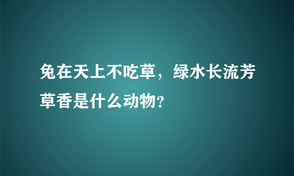 兔在天上不吃草，绿水长流芳草香是什么动物？