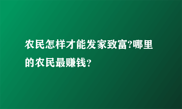 农民怎样才能发家致富?哪里的农民最赚钱？