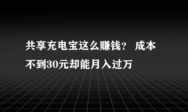 共享充电宝这么赚钱？ 成本不到30元却能月入过万