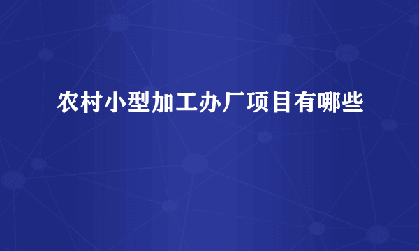 农村小型加工办厂项目有哪些