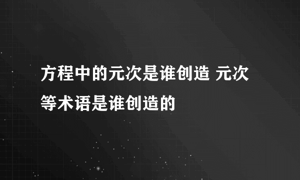 方程中的元次是谁创造 元次等术语是谁创造的