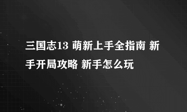 三国志13 萌新上手全指南 新手开局攻略 新手怎么玩