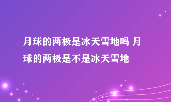 月球的两极是冰天雪地吗 月球的两极是不是冰天雪地