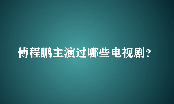 傅程鹏主演过哪些电视剧？