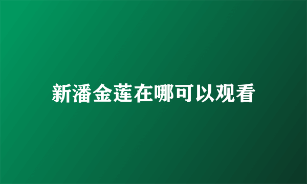 新潘金莲在哪可以观看