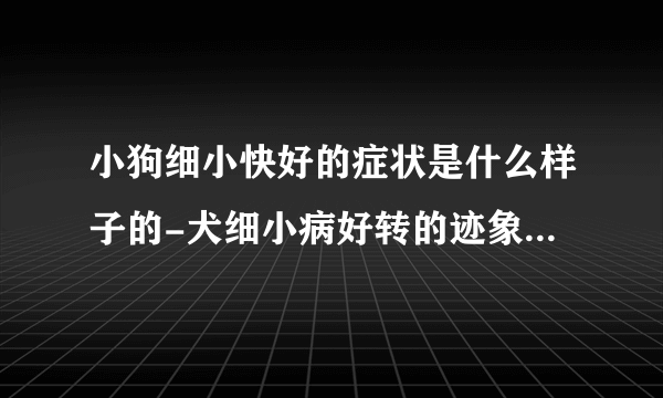 小狗细小快好的症状是什么样子的-犬细小病好转的迹象是什么？