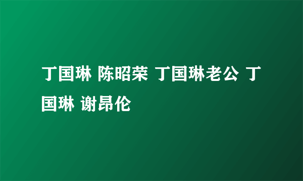 丁国琳 陈昭荣 丁国琳老公 丁国琳 谢昂伦