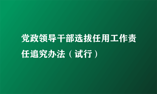 党政领导干部选拔任用工作责任追究办法（试行）