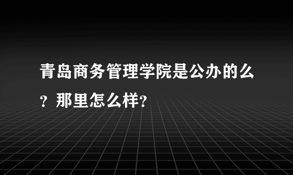 青岛商务管理学院是公办的么？那里怎么样？