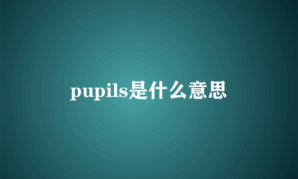 pupils是什么意思