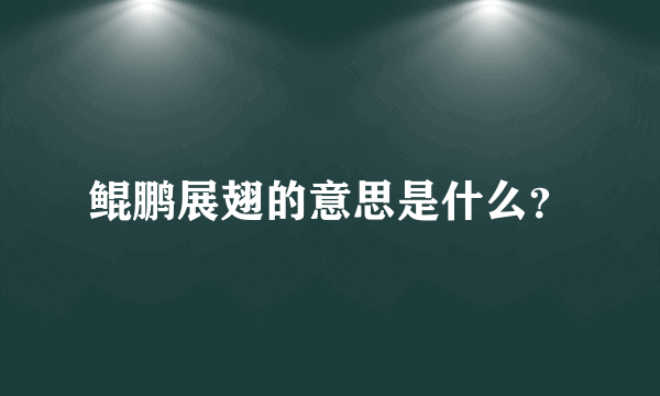 鲲鹏展翅的意思是什么？