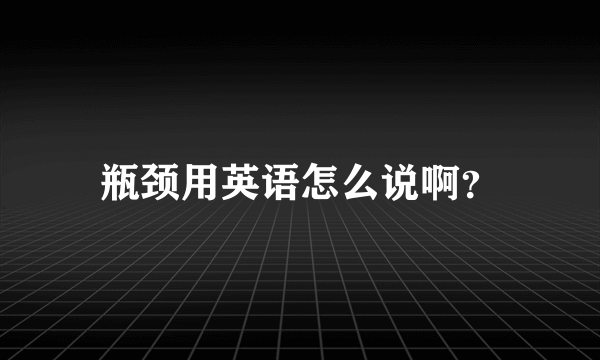 瓶颈用英语怎么说啊？