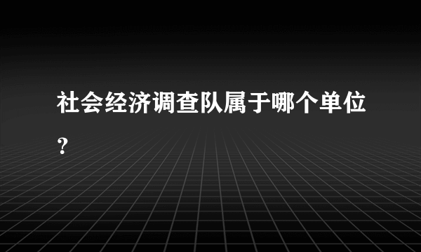 社会经济调查队属于哪个单位？