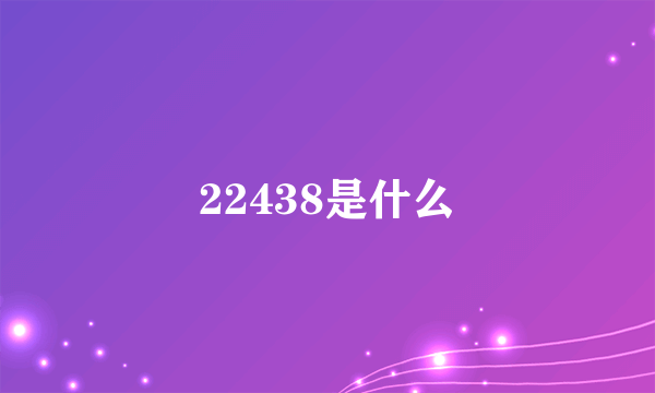 22438是什么