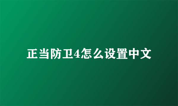 正当防卫4怎么设置中文