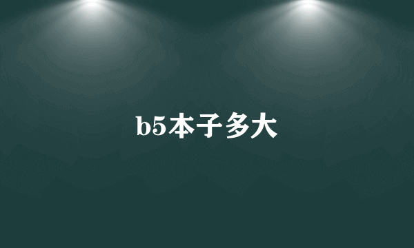 b5本子多大