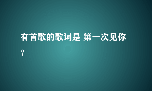 有首歌的歌词是 第一次见你？