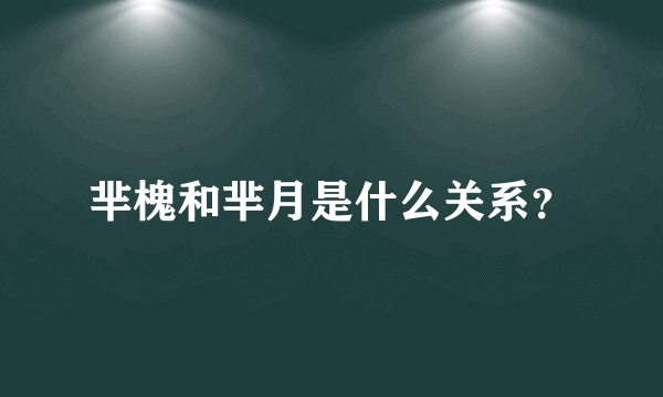 芈槐和芈月是什么关系？