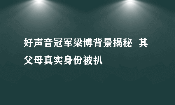 好声音冠军梁博背景揭秘  其父母真实身份被扒