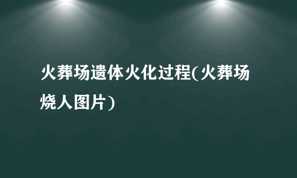 火葬场遗体火化过程(火葬场烧人图片)