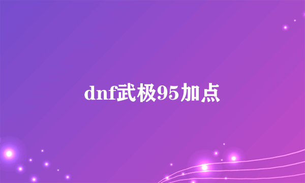 dnf武极95加点