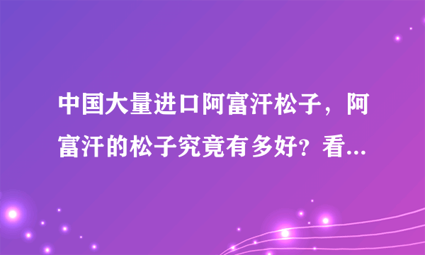 中国大量进口阿富汗松子，阿富汗的松子究竟有多好？看了就会明白