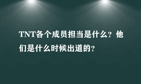 TNT各个成员担当是什么？他们是什么时候出道的？