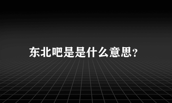 东北吧是是什么意思？