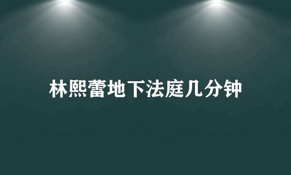 林熙蕾地下法庭几分钟