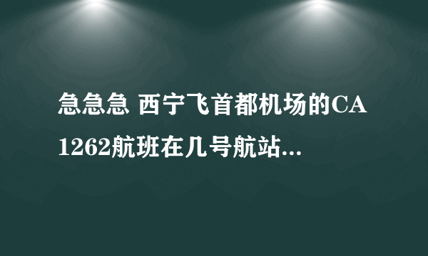 急急急 西宁飞首都机场的CA1262航班在几号航站楼降落？