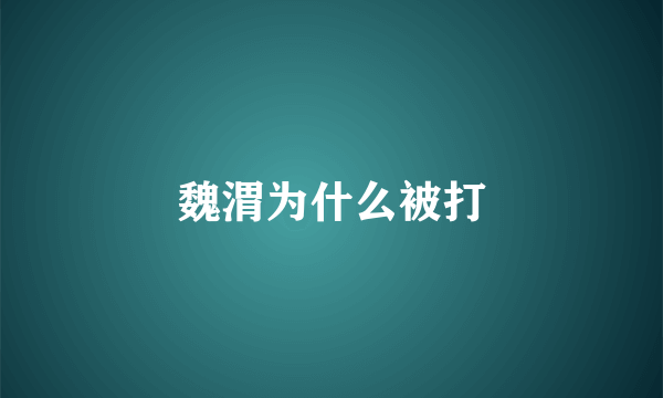 魏渭为什么被打