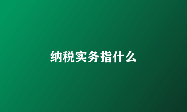 纳税实务指什么