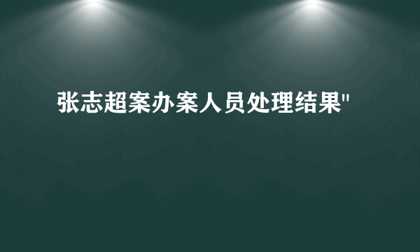 张志超案办案人员处理结果