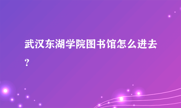 武汉东湖学院图书馆怎么进去？