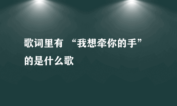 歌词里有 “我想牵你的手” 的是什么歌