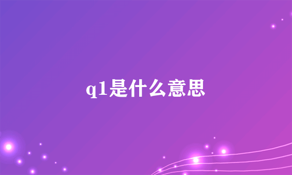 q1是什么意思