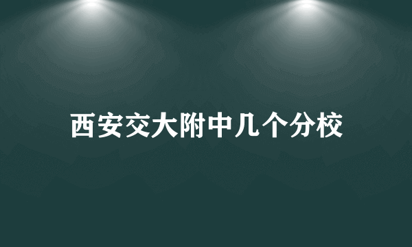 西安交大附中几个分校