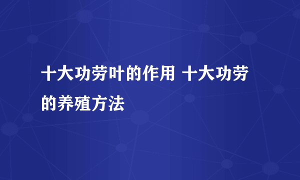 十大功劳叶的作用 十大功劳的养殖方法