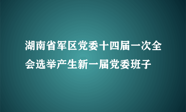 湖南省军区党委十四届一次全会选举产生新一届党委班子