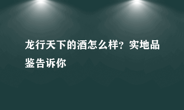 龙行天下的酒怎么样？实地品鉴告诉你