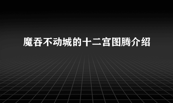 魔吞不动城的十二宫图腾介绍