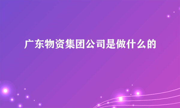 广东物资集团公司是做什么的