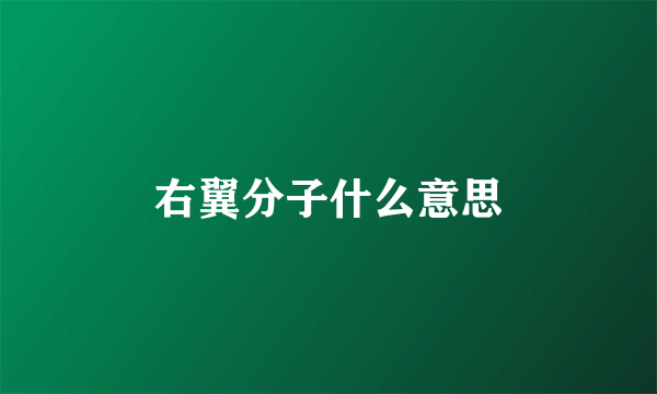 右翼分子什么意思