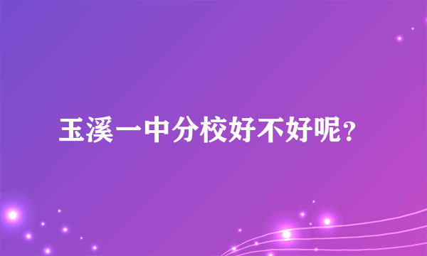 玉溪一中分校好不好呢？